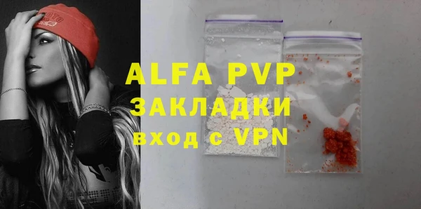 гидра Алексин