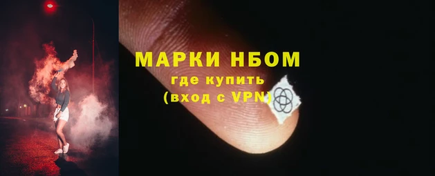 гидра Алексин