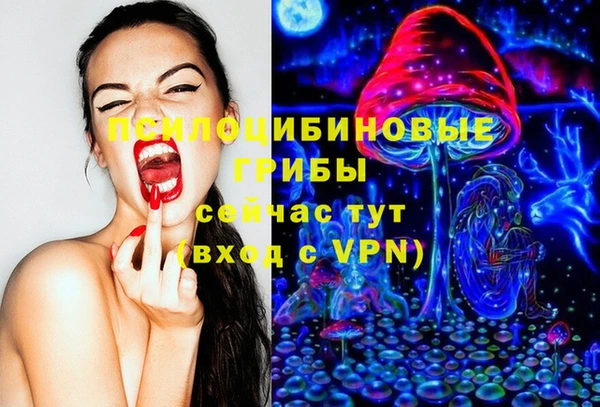 гидропоника Алексеевка