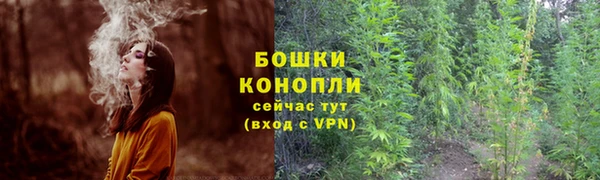 ГАЛЛЮЦИНОГЕННЫЕ ГРИБЫ Покачи