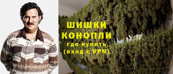 ГАЛЛЮЦИНОГЕННЫЕ ГРИБЫ Покачи